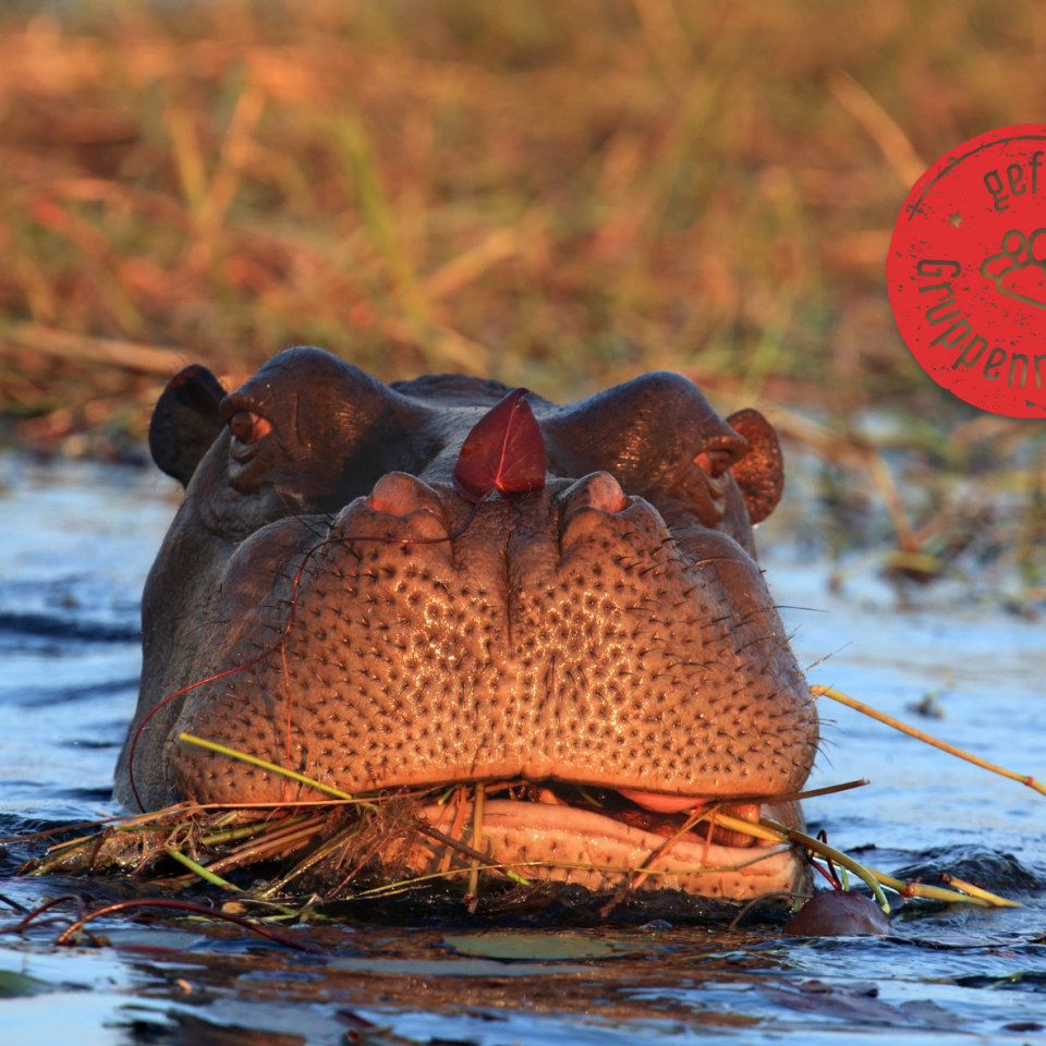 Kenias Nationalparks & Strand
